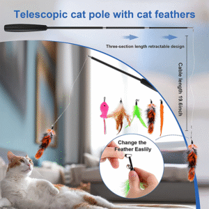 Cat Toy Set
